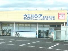 ウエルシア　香取小見川店