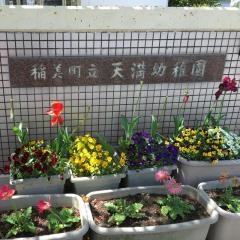 天満幼稚園