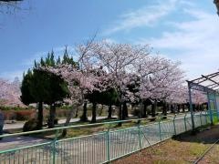 神野公園