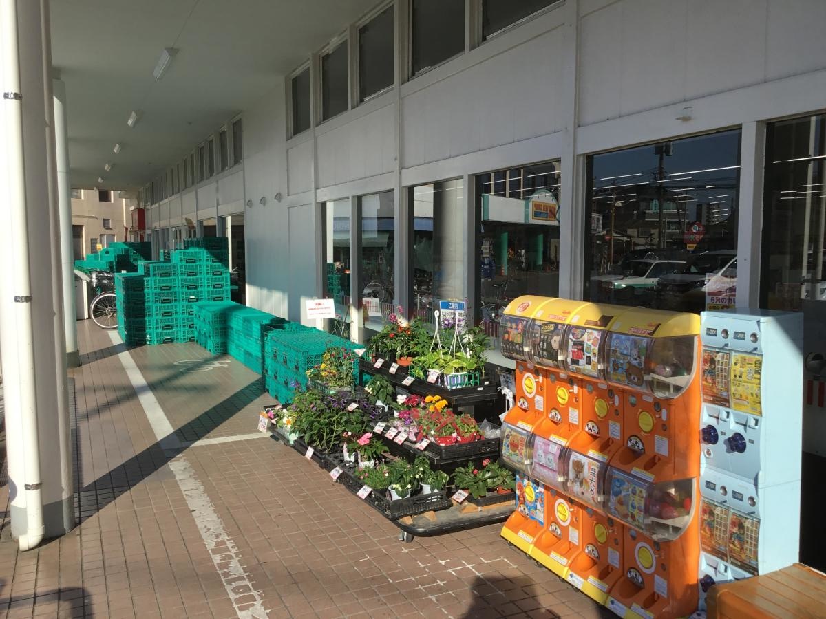 ゆめマート帯山店