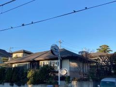 奥山動物病院