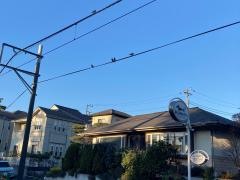 奥山動物病院