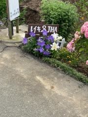 整体愛クリニック愛健美サロン