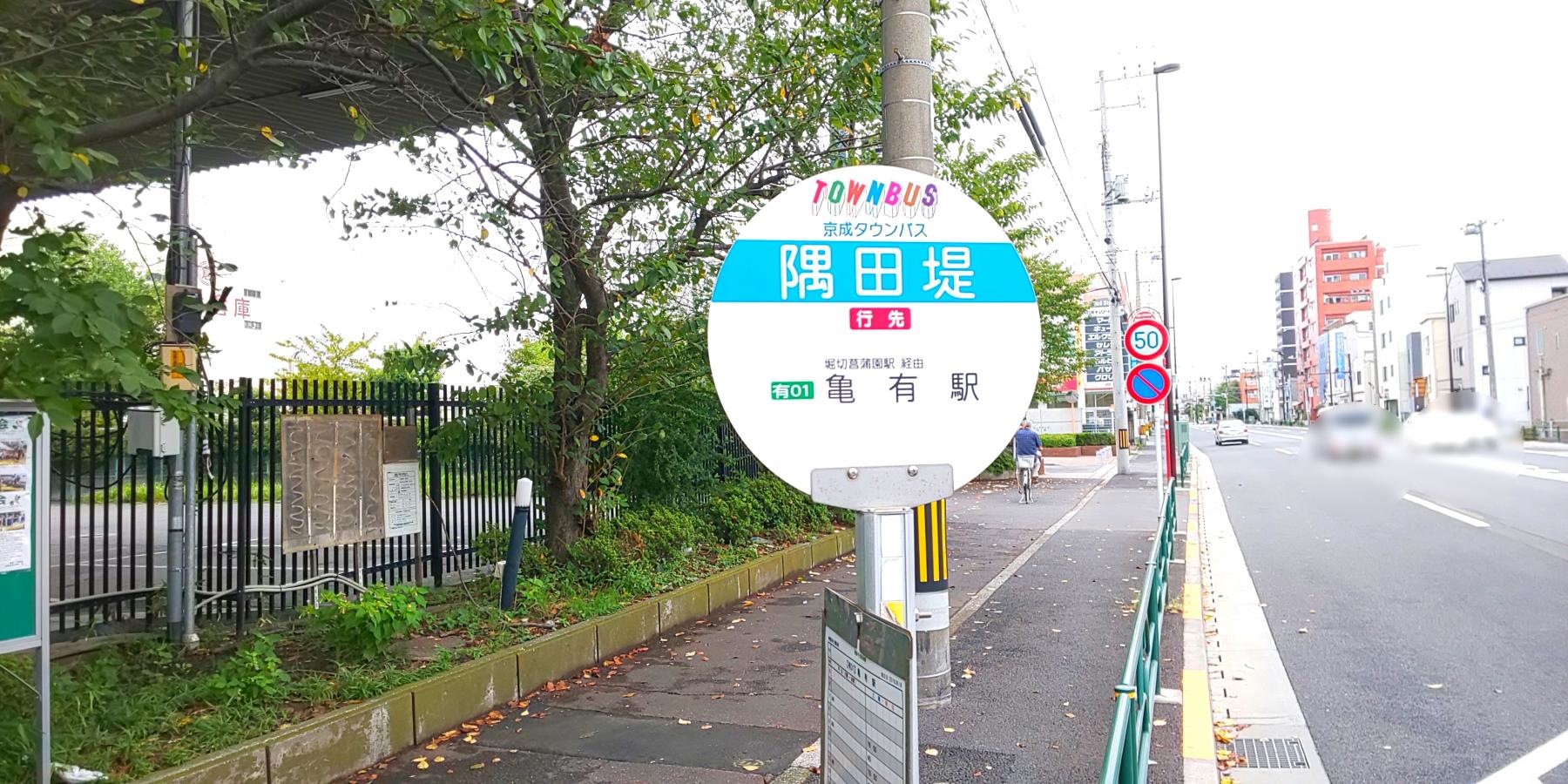 墨田区向島 バス停 隅田堤
