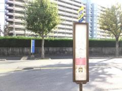 「四ツ谷池」バス停留所