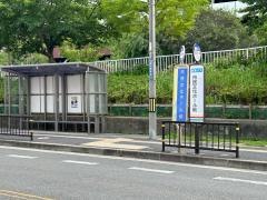 「市民文化ホール前」バス停留所