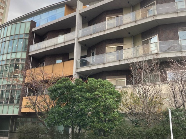 葵の園・川崎