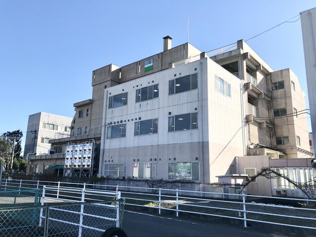 カリタス・メンテ