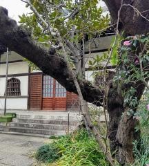 金龍寺