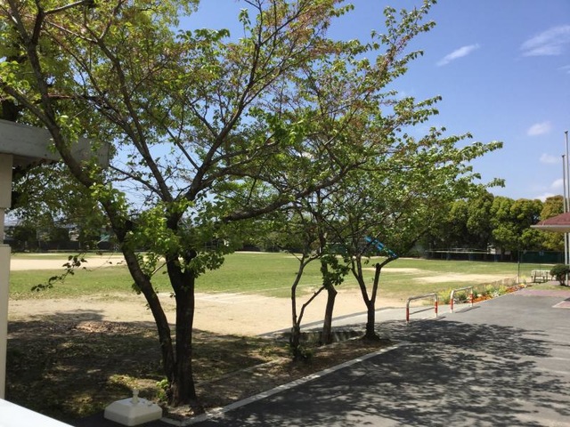 今宿小学校／ホームメイト