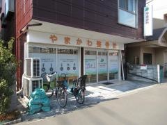 やまかわ整骨院