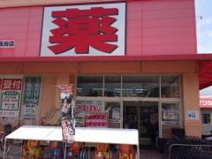 ウエルシア　藤枝藪田店