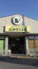 広中ケンネル