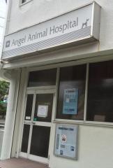 エンジェル動物病院