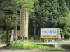 板取川 洞戸観光ヤナ