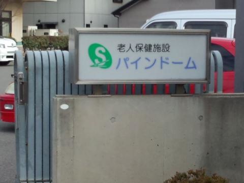 パインドーム