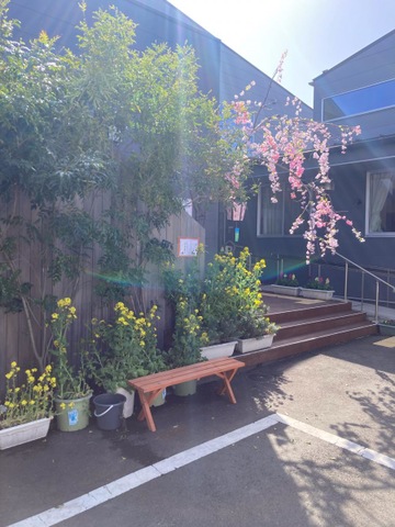 地域密着型特別養護老人ホームきみどり