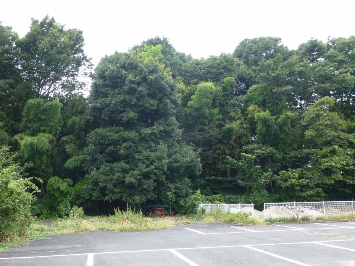 上沢の森