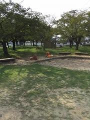 西野近隣公園