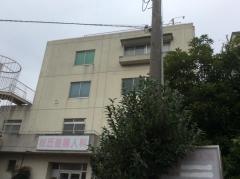 桜丘産婦人科