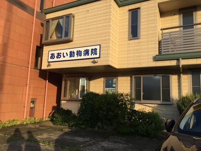 ドッグメディカル あおい動物病院 日野市石田