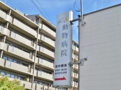 動物病院ファミリー