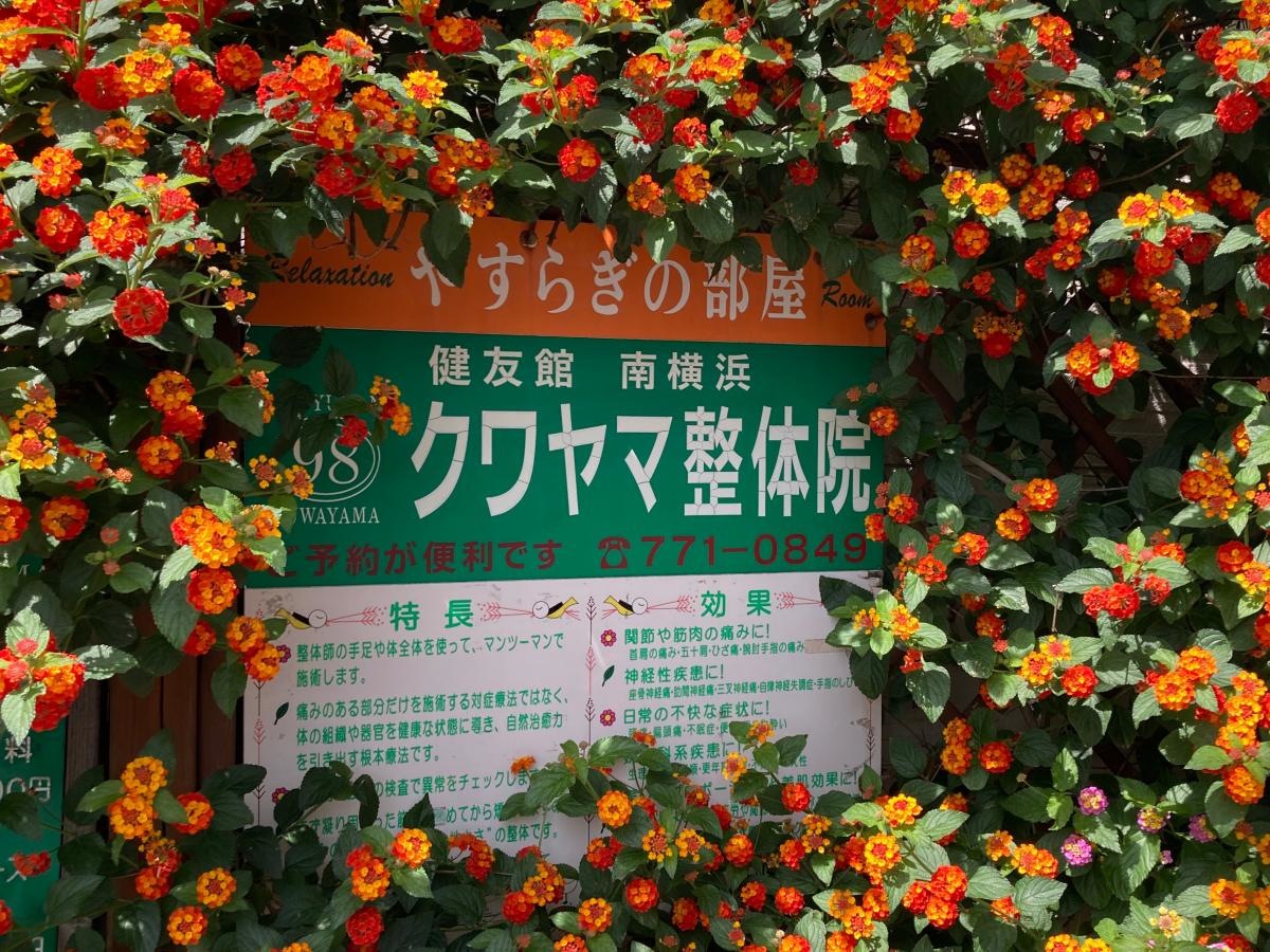 クワヤマ整体・健友館南横浜