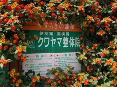 クワヤマ整体・健友館南横浜