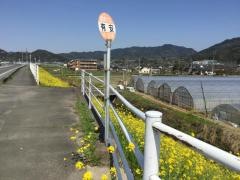 「有安」バス停留所