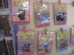 東京ワンク　赤羽店