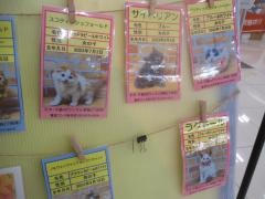 東京ワンク　赤羽店