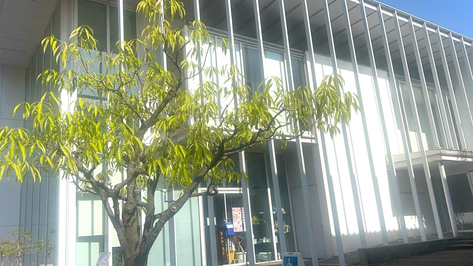 宮本三郎美術館の写真です。