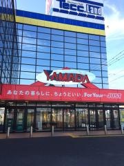 ヤマダ電機　テックランド中津店