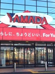 ヤマダ電機　テックランド中津店