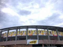 アイビースタジアム