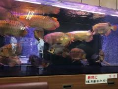 マルヤ食堂塚本店