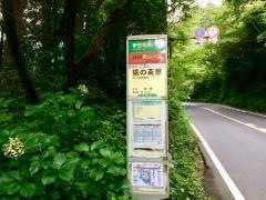 「猿の茶屋」バス停留所
