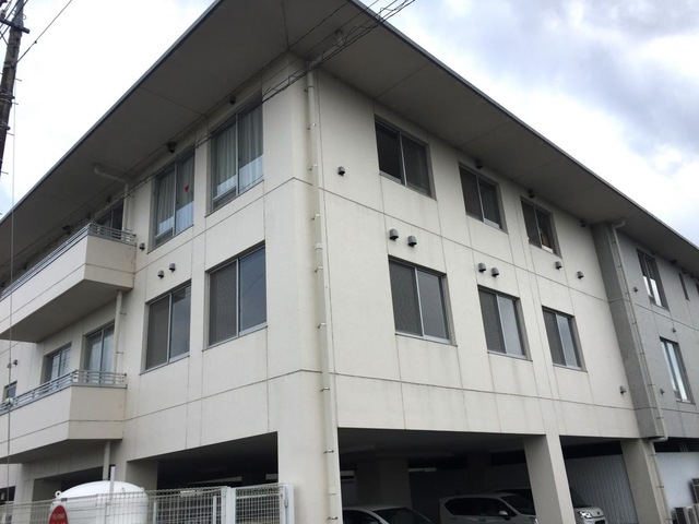 プラタナスの丘