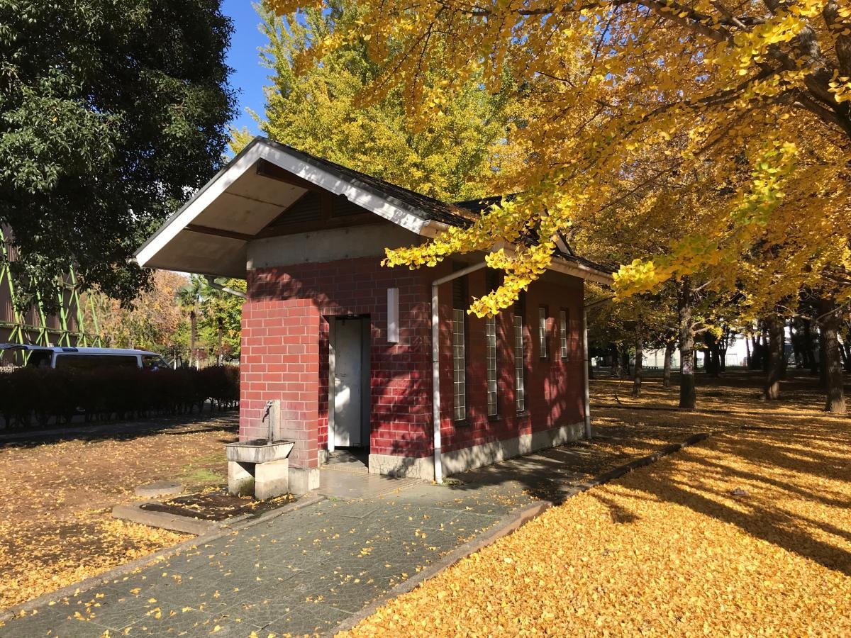 丘里公園