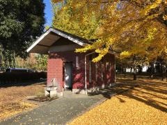 丘里公園