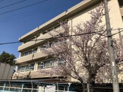 田間宮小学校