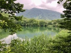 丸池