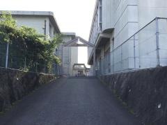 金剛寺小学校