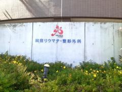 田窪リウマチ・整形外科