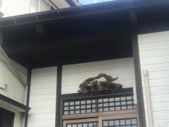 あさひ楼