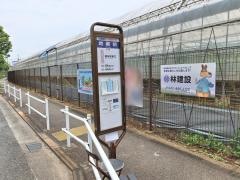 「地蔵前」バス停留所