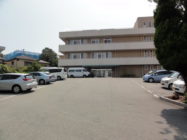 風と緑