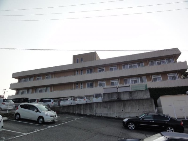 風と緑