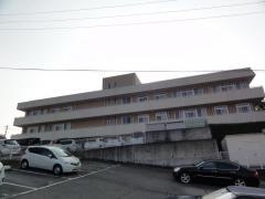 風と緑