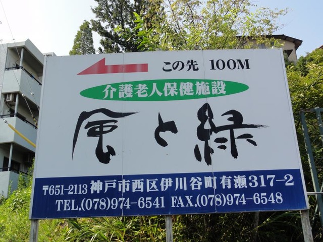 風と緑